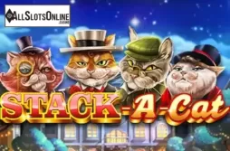 Stack A Cat