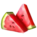 icon 4