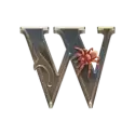 icon 10