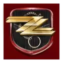 icon 12