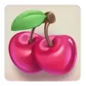 icon 4