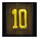 icon 10