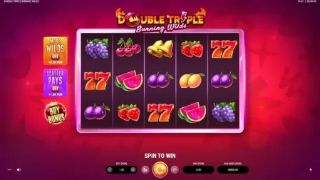 Double Triple Burning Wilds slot screenshot 1