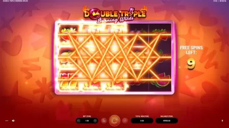 Double Triple Burning Wilds slot screenshot 4