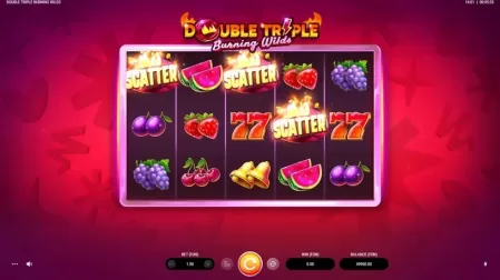Double Triple Burning Wilds slot screenshot 2