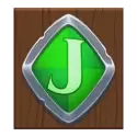 icon 9