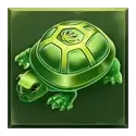 icon 4