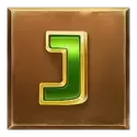 icon 9