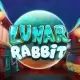 Lunar Rabbit