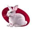 icon 4