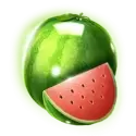 icon 5