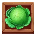 icon 4