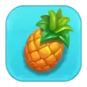 icon 6