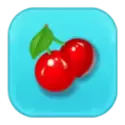 icon 5