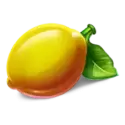 icon 10