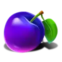 icon 6