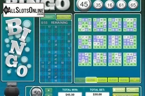 Game workflow 4. 80 Ball BINGO from Rival Gaming