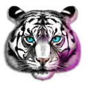 icon 2