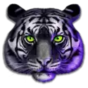 icon 3