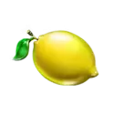 icon 6