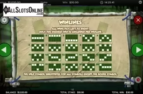 Paytable. Frog of Fortune from CORE Gaming