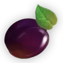 icon 6