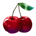 icon 7
