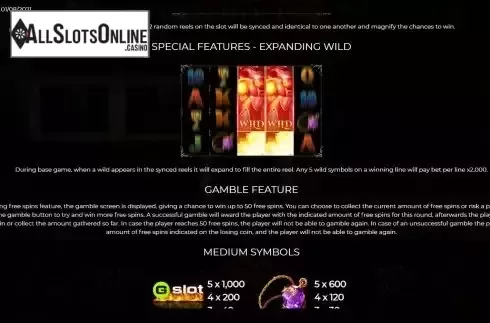 Expanding Wild and Gamble Features screen