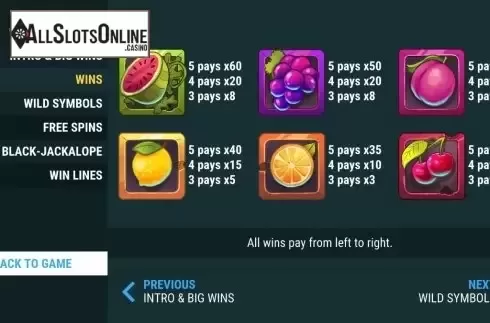 Symbols 2. Lucky Forest Casino from Slot Factory