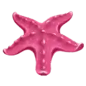 icon 4