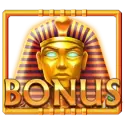icon 13