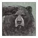 icon 5