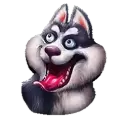 icon 2