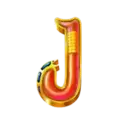 icon 9