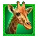 icon 4