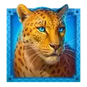 icon 5