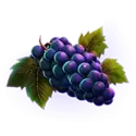 icon 3