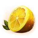 icon 6