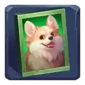 icon 4