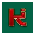 icon 9