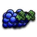 icon 4