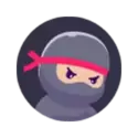 icon 4