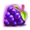 icon 6