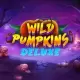 Wild Pumpkins Deluxe