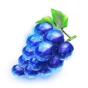 icon 4
