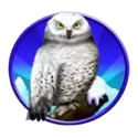 icon 5