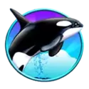 icon 4