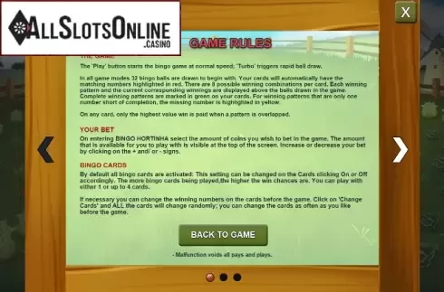 Game Rules Screen. Bingo Hortinha from Caleta Gaming