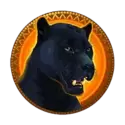 icon 4