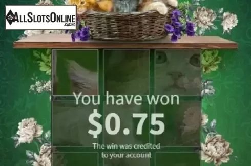 Win 3
